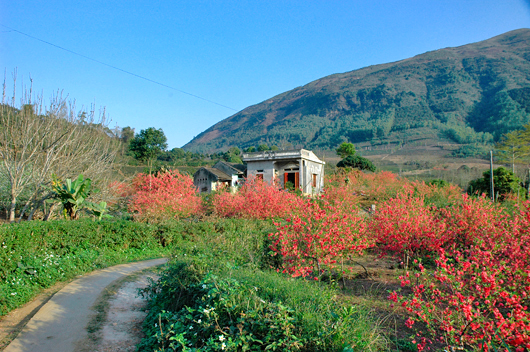 Northern mountainous province’s beauty